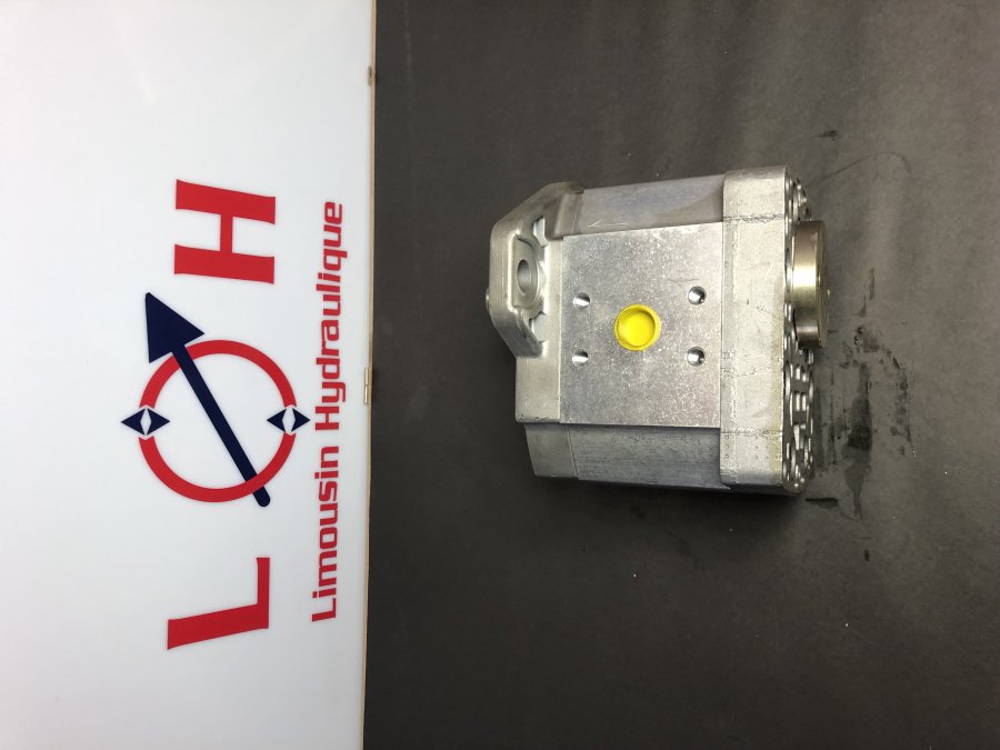 Pompe HPI P1AAN3040HJ23A02N - P1AAN3040HJ23A02N - HPI