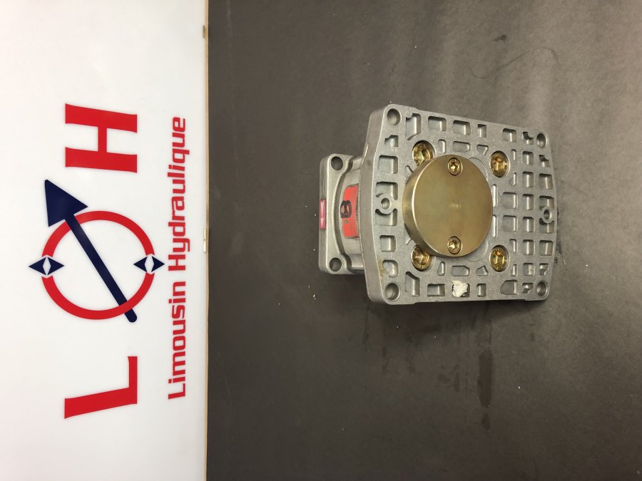 Pompe HPI P1BAN2008HJ13B02N - P1BAN2008HJ13B02N - HPI