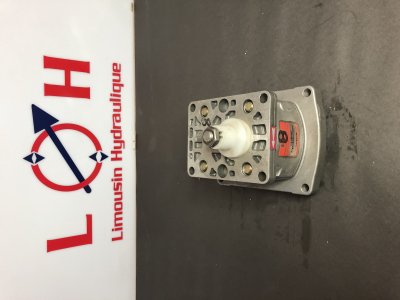 Pompe HPI P1BAN2008HJ13B02N - P1BAN2008HJ13B02N - HPI