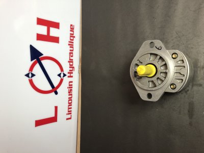 Pompe HPI P1AAN2006HL20C02 - P1AAN2006HL20C02 - HPI
