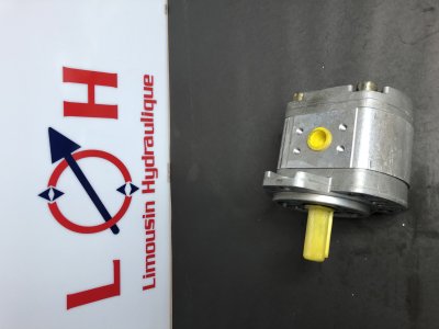 Pompe HPI P1   CEN2010HL20C02N - P1CEN2010HL20C02N - HPI
