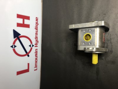 Pompe HPI   P1AAN2022HJ23C02 - P1AAN2022HJ23C02 - HPI