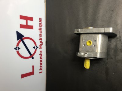 Pompe HPI   P1AAN2022HJ23C02 - P1AAN2022HJ23C02 - HPI