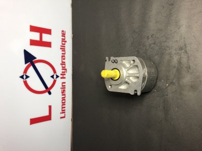 Pompe HPI  P1CEN2008HL20LU2N - P1CEN2008HL20LU2N - HPI