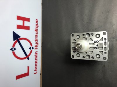 Pompe HPI  P1BAN2008HA2008HL10B02N - P1BAN2008HA2008HL10B02N - HPI